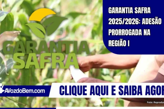 Garantia Safra 2025/2026: adesão prorrogada na Região I