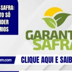 Garantia-Safra: pagamento só após atender aos critérios